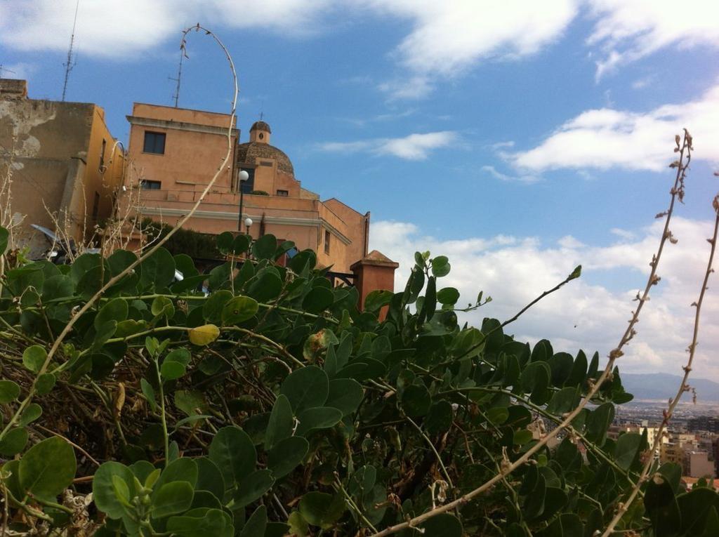 Little Cagliari Apartment ภายนอก รูปภาพ